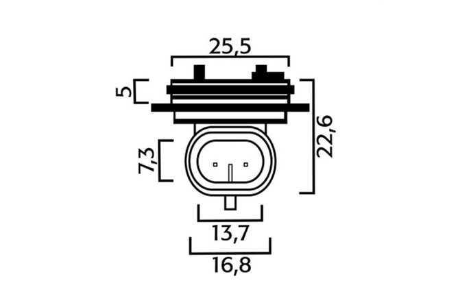 Lampenfassung Flösser 12V H1