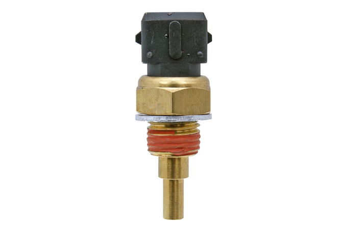 Temperature Sensor M14x1.25mm AM6 2-pin
