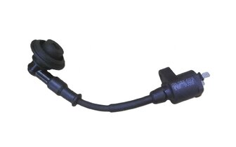 Ignition Coil and Spark Plug Cap Sym Jet 50 Sport X