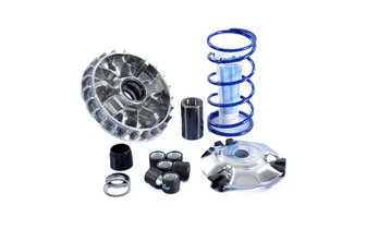 CVT Polini Hi-Speed Yamaha Vespa Primavera 125 after 2016