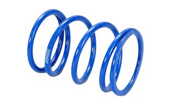 Molla di contrasto Polini 4,3mm% Kymco X-Cinting 400