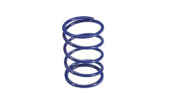 Molla di contrasto Polini +10% Honda Forza 250