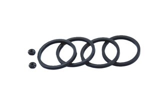 Guarnizione pinza freno radiale Polini