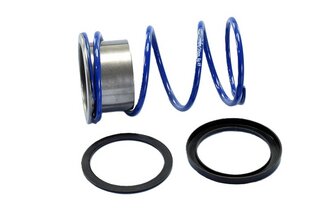 Molla contrasto Polini Evo-Slider Vespa 300