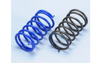 Kupplungsfedern Polini Piaggio