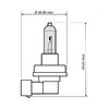 Bombilla de Faro Xénon 12V 35W H8