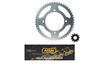 Kettensatz AFAM 11x51 Beta RR