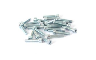 Tornillo hexagonal M5x25 galvanizado (x25)