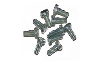 Screw M4x10 galvanized (x10)