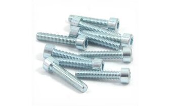 Hex Socket Screw M6x 30 galvanized (x10)