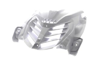 Griglia radiatore Yamaha Aerox / MBK Nitro 2T 2013