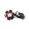 Estator Encendido p. PGO Big Max / G-Max / Hot / PMX / T-Rex