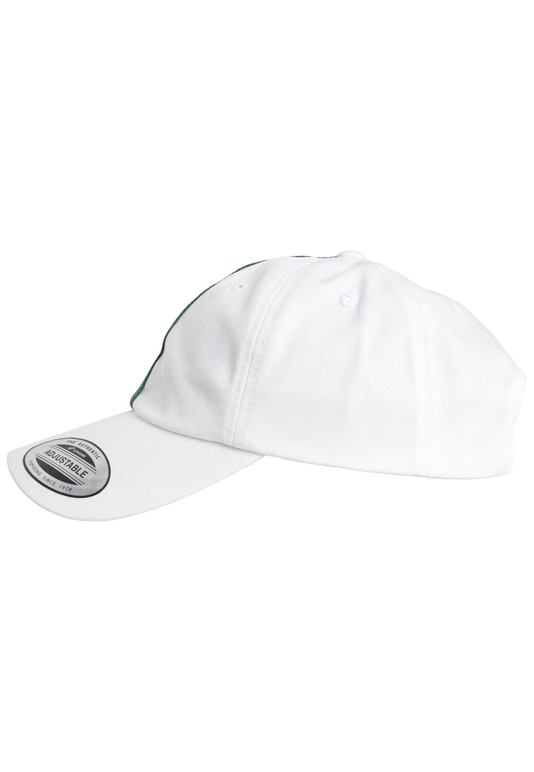 Stripe MAXISCOOT Hat Dad | red/green white/fire Flexfit