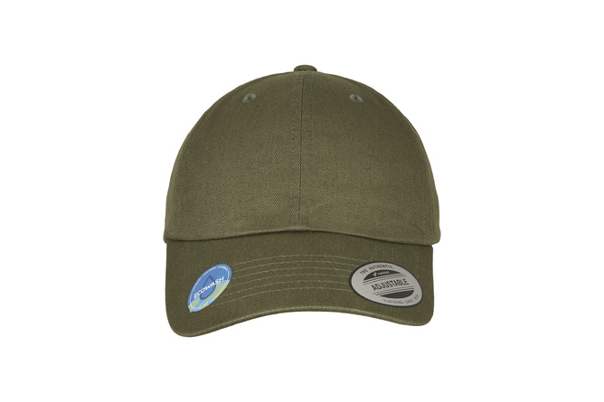 Ecowash Flexfit MAXISCOOT Dad Hat | olive night