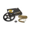Kit Catena AFAM 11x60 Peugeot XP6