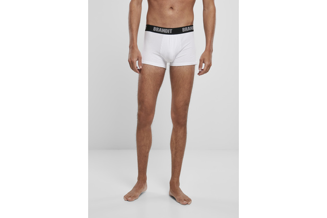 Boxer Shorts Logo 2-Pack Brandit weiß/weiß