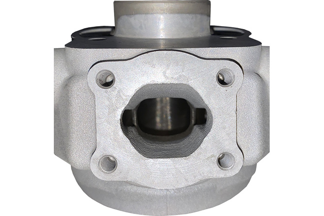 Zylinder Bidalot RF 80 WR Derbi Euro 3 / Euro 4