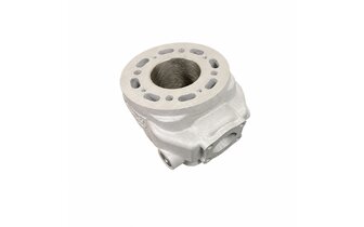 Cylinder Bidalot RF 80 WR Derbi Euro 3 / Euro 4
