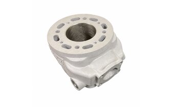 Zylinder (solo) Bidalot Racing Factory 80 WR Minarelli AM6