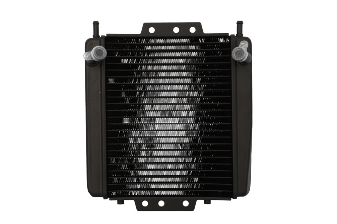 Radiator Piaggio MP3