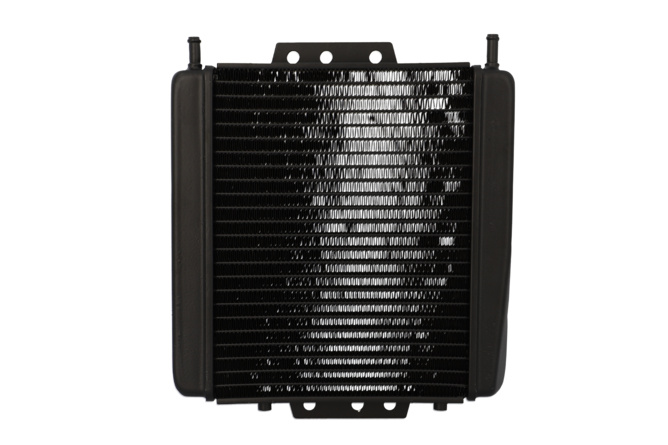 Radiator Piaggio MP3