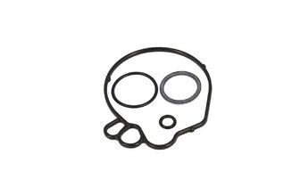 Vergaser Dichtungssatz Peugeot Fox