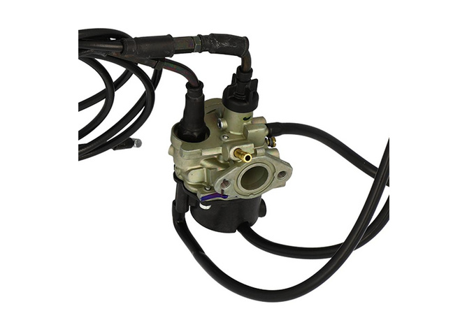 Vergaser Peugeot Fox