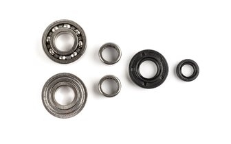 Bearings + Oils Seals gearbox Doppler Derbi