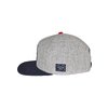 Casquette Snapback Money Call Cayler & Sons gris clair