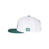 Casquette Snapback Vacay Stripes Cayler & Sons blanc