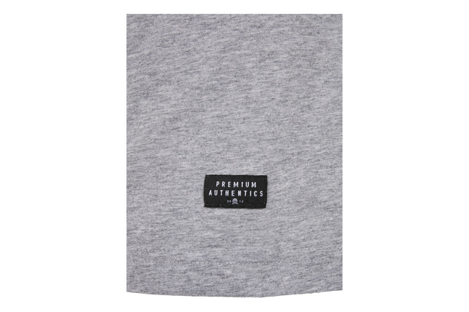 T-shirt PA Icon Cayler & Sons grigio heather/bianco