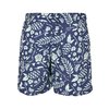 Badeshorts Leaves N Wires Cayler & Sons navy/mint