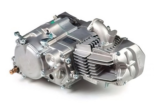 Engine complete 5-speed Daytona Anima 190FSM