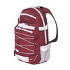 Backpack Forvert Ice Louis burgundy 20 L