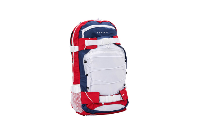 Backpack Forvert Ice Louis multicolor 20 L