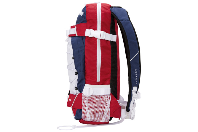 Backpack Forvert Ice Louis multicolor 20 L