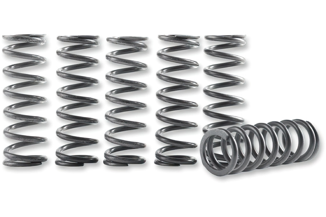 Clutch Spring 6-pack for Hinson clutch basket CRF 450 2009-2012