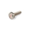 Magnet Screw for brake disc Koso (M6x1.0x24mm)