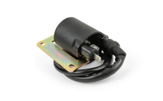 Bobina Accensione qualità originale Piaggio Maxi 125/150/180