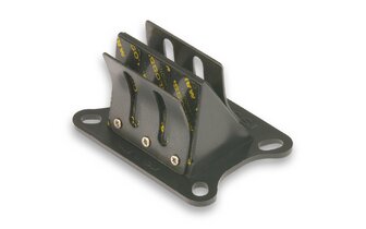 Membranblock Malossi VL5 Yamaha DT80