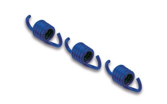Clutch Springs Malossi Piaggio Maxiscooter blue 1.8mm