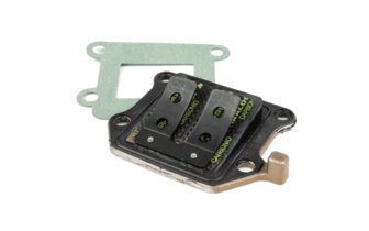 Membranblock Malossi VL10 Minarelli stehend