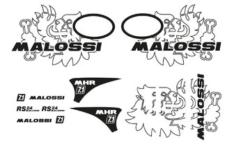 Dekor Kit Malossi Trophy Vespa Primavera / Sprint