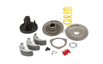Clutch Kit Malossi Fly Clutch Piaggio Ciao