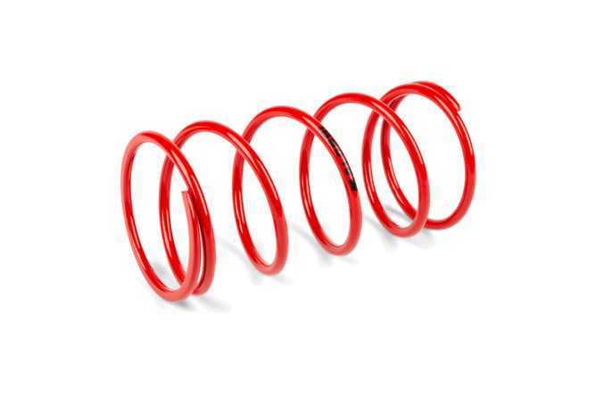 Antriebskit Malossi MHR Overrange Piaggio Si