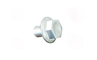 Oil Drain Screw magnetic YCF silver