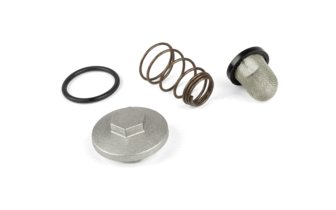 Oil Filter / Plug / Spring / Gasket Kit GY6