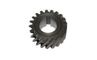 Crankshaft Pinion Gear AM6