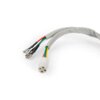 Ignition Stator Piaggio before 1998