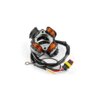 Stator Zündanlage Lichtmaschine Hidria Beta RR 2005 - 2012